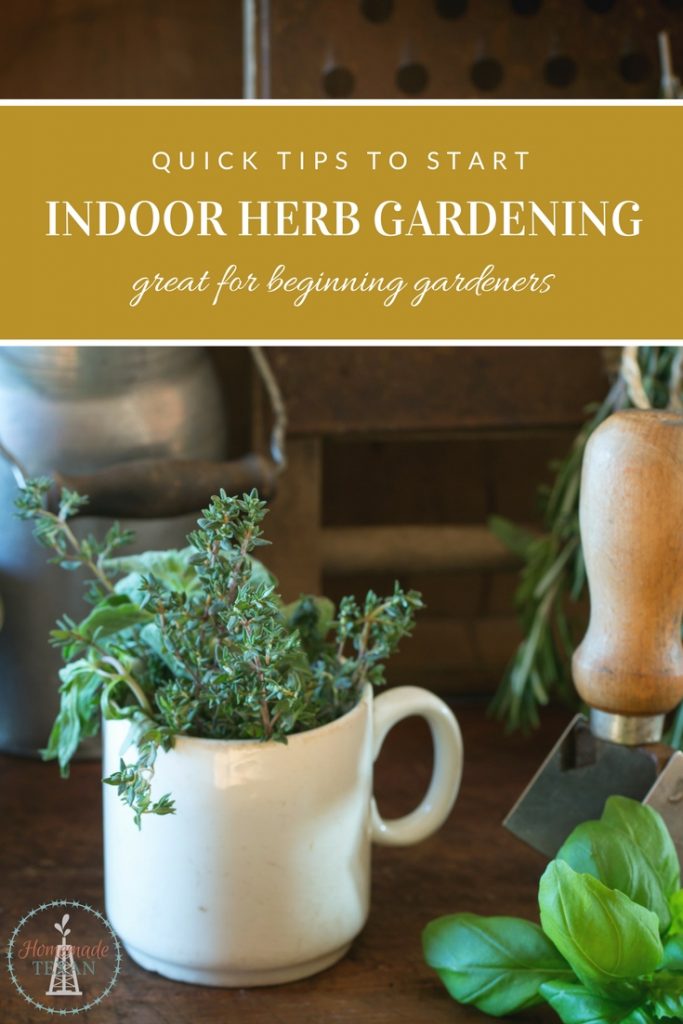 Herb gardens are a great way for beginning gardeners to learn how to grow their own food. Get all the tips you need to start an indoor herb garden here.